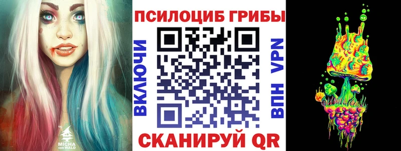 Псилоцибиновые грибы Cubensis Купить закладки Нижнекамск