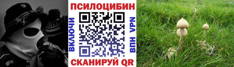 Псилоцибиновые грибы мицелий Нижнекамск